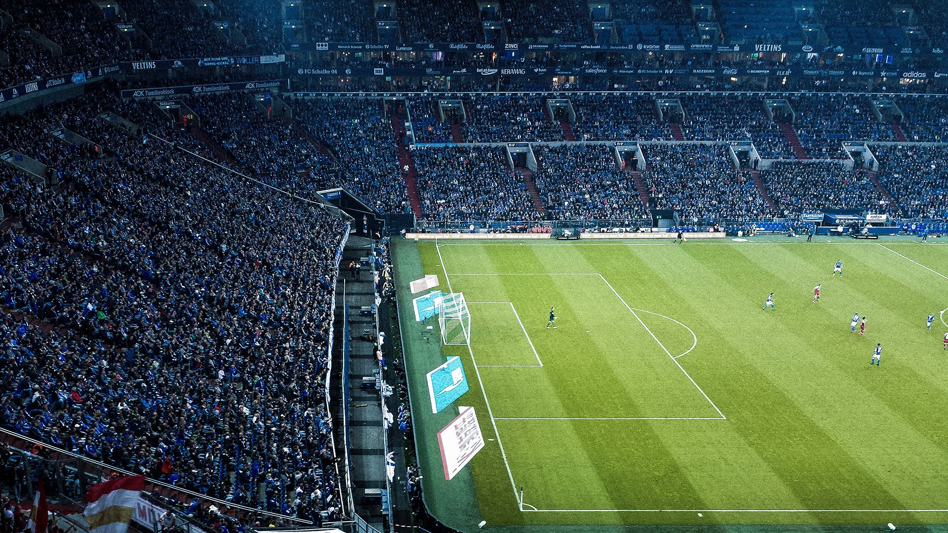 环保新举措：联盟绿色低碳，迈向可持续未来，绿色低碳生态环保